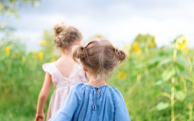 A walk in the Sunflower patch